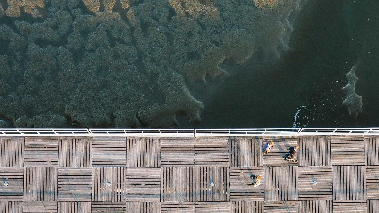 cmux: The Native macOS Terminal Redefined with AI Coding Assistants in Mind