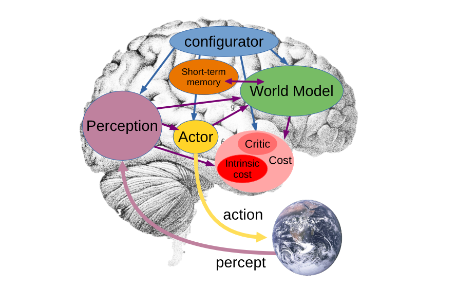 The billion-dollar startup with a different idea for AI